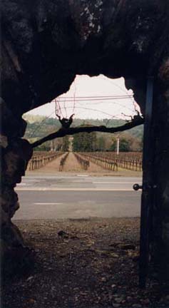 A View to the Vineyards